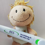 BES Gesellschaft für Integration & Bildung mbH