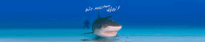 Der Firmenname ist Hydronalin