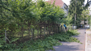 Die fleißigen Enkel
