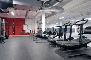 Fenriz Gym