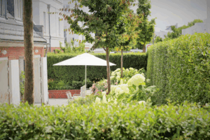 Grasgrau – Gartendesign