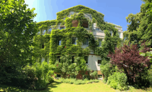 Ilex Gartenbau Stephan Strutzke