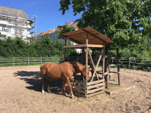 Jugendfarm Moritzhof