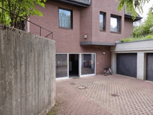 Kleine Seelöwen