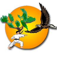 Shindokan e.V
