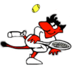 Treptower Teufel Tennis Club e.V